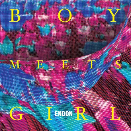 Endon: Boy Meets Girl [Winyl]