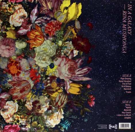 Rina Mushonga: In A Galaxy [Winyl]