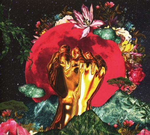 Rina Mushonga: In A Galaxy (digipack) [CD]