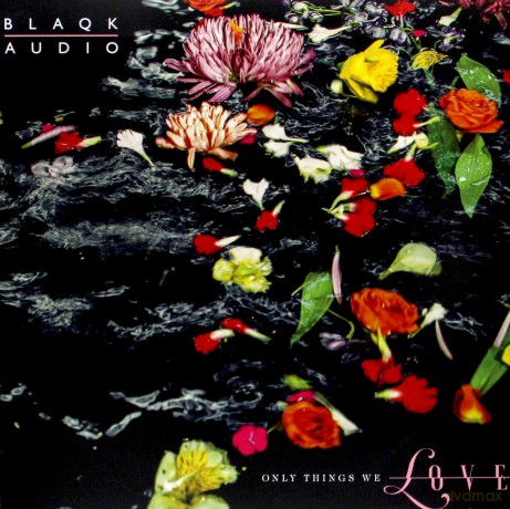 Blaqk Audio: Only Things We Love (Water Picture) [Winyl]