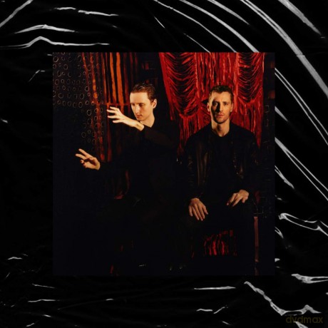 These New Puritans: Inside The Rose [Winyl]