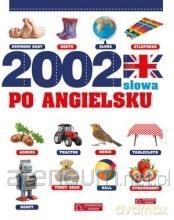 2002 słowa po angielsku. Ilustrowany słownik - Laura Aceti [KSIĄŻKA]