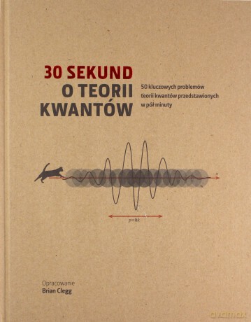 30 sekund O teorii kwantów [KSIĄŻKA]