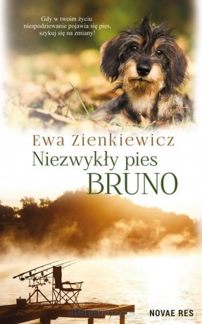 Niezwykły pies Bruno - Ewa Zienkiewicz [KSIĄŻKA]