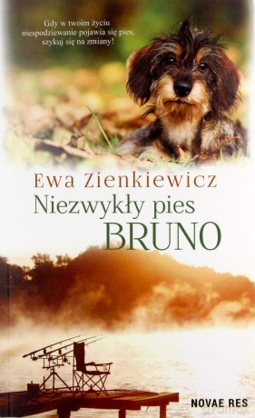 Niezwykły pies Bruno - Ewa Zienkiewicz [KSIĄŻKA]