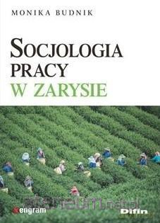 Socjologia pracy w zarysie - Monika Budnik [KSIĄŻKA]