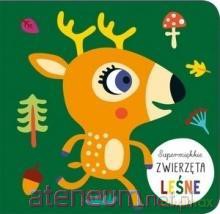 Supermiękkie Zwierzęta leśne [KSIĄŻKA]
