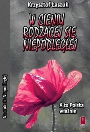 W cieniu rodzącej się niepodległej - Krzysztof Łaszuk [KSIĄŻKA]