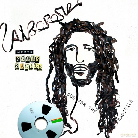 Alborosie Meets Roots Radics: Dub For The Radicals [Winyl]