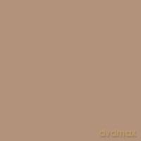 Kanebo Sensai Total Finish Tf 206 Refill (Golden Dune)