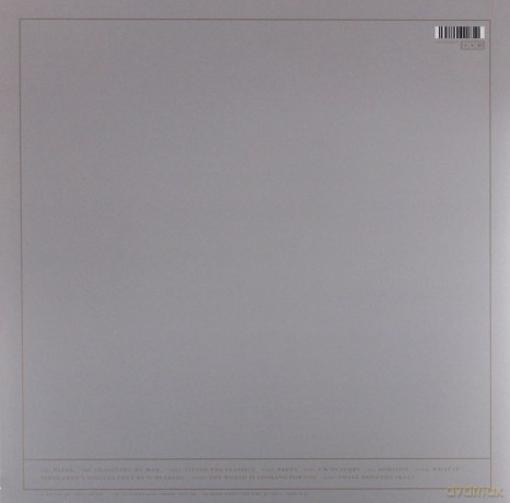 Aldous Harding: Party [Winyl]