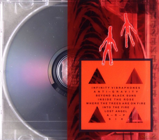 These New Puritans: Inside The Rose [CD]