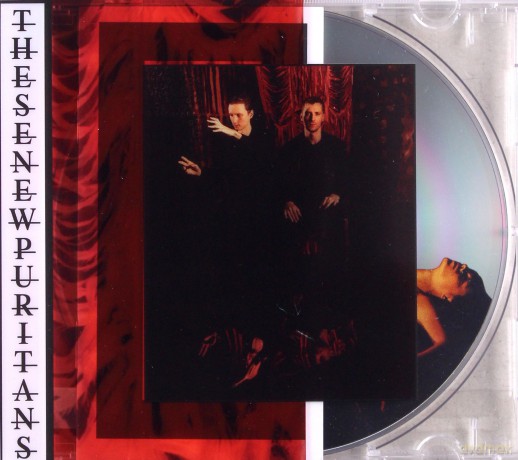 These New Puritans: Inside The Rose [CD]