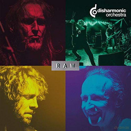Disharmonic Orchestra: Raw [Winyl]