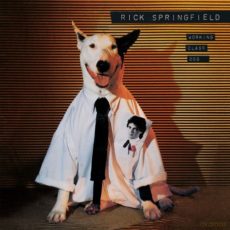 Rick Springfield: Working Class Dog [Winyl]