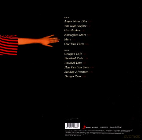 Hooverphonic: The Night Before [Winyl]