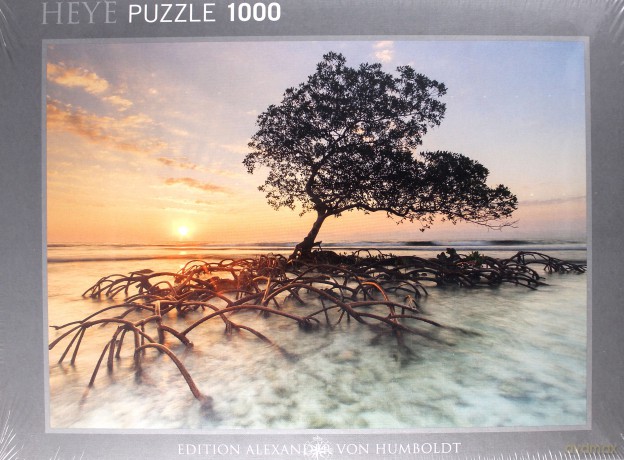 HEYE 1000 el. - Namorzyn o wschodzie słońca [PUZZLE]