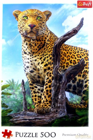 TREFL 500 el. - Dziki lampart [PUZZLE]