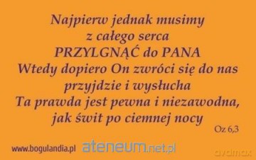 Magnes 34 na lodówkę - Najpierw jednak musimy