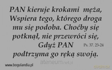 Magnes 42 na lodówkę - Pan kieruje krokami męża