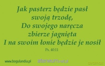Magnes 45 na lodówkę - Jak pasterz będzie pasł swoją trzodę