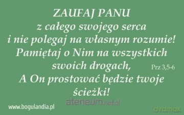 Magnes 48 na lodówkę - zaufaj Panu z całego