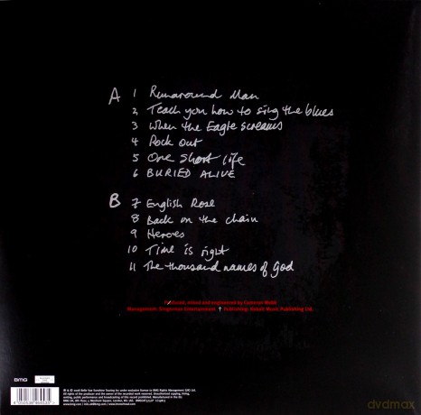 Motorhead: Motorizer [Winyl]