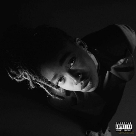 Little Simz: Grey Area [Winyl]