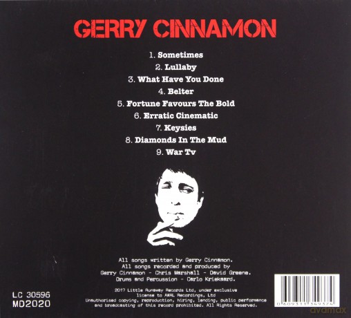 Gerry Cinnamon: Erratic Cinematic (digipack) [CD]