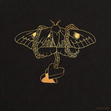 David Gray: Gold In A Brass Age [CD]