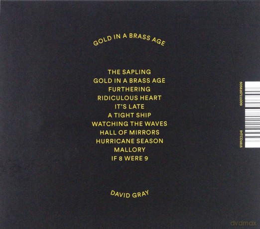 David Gray: Gold In A Brass Age [CD]