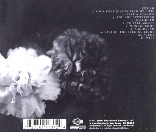 Holding Absence: Holding Absence [CD]