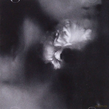 Holding Absence: Holding Absence [CD]