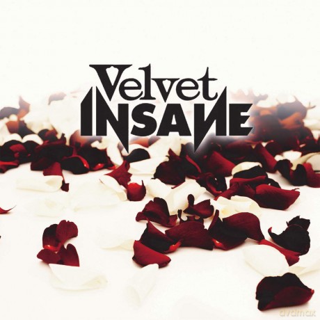 Velvet Insane: Velvet Insane [CD]