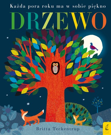 Drzewo. Każda pora roku ma w sobie piękno - Patricia Hegarty [KSIĄŻKA]