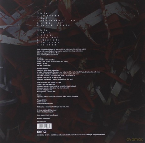 The Cranberries: In The End [Winyl]