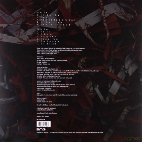 The Cranberries: In The End [Winyl]