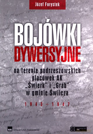 Bojówki dywersyjne - Józef Forystek [KSIĄŻKA]