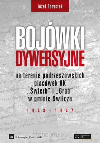 Bojówki dywersyjne - Józef Forystek [KSIĄŻKA]