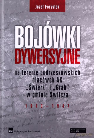 Bojówki dywersyjne - Józef Forystek [KSIĄŻKA]