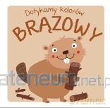 Dotykamy kolorów - Brązowy [KSIĄŻKA]