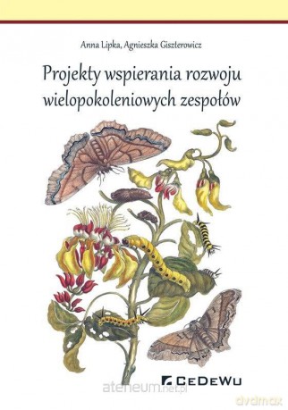 Projekty wspierania rozwoju wielopokoleniowych - Anna Lipka, Agnieszka Giszterowicz [KSIĄŻKA]