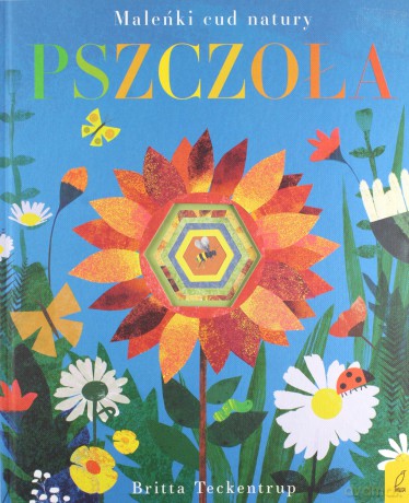 Pszczoła. Maleńki cud natury - Britta Teckentrup [KSIĄŻKA]