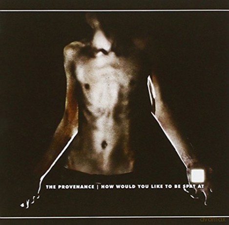 The Provenance: How Would You Like [CD]