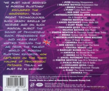 Psychodelic Pstones: House Of Many... [CD]