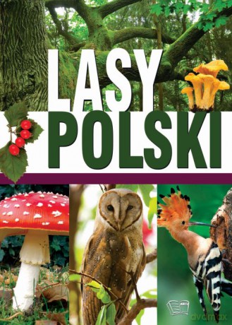 Lasy Polskie [KSIĄŻKA]