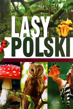 Lasy Polskie [KSIĄŻKA]