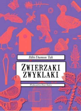 Zwierzaki zwyklaki - Bibi Dumon Tak, Fleur Van Der Weel [KSIĄŻKA]