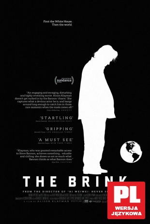 The Brink [DVD]