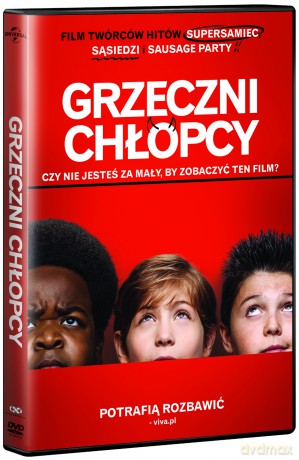 Grzeczni chłopcy [DVD]